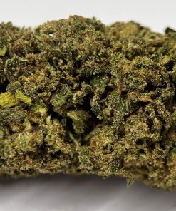🎁 – AMNESIA HAZE