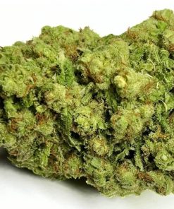 Alternative view of 🎁 – CALI FROZEN (hydroponique)